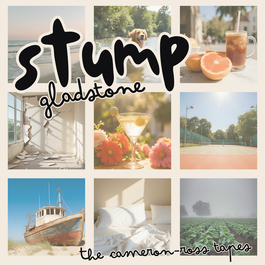 The Cameron-Ross Tapes LP (Pre-Order)